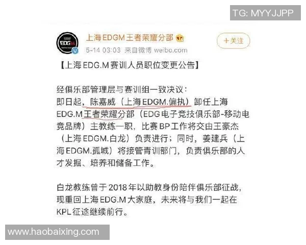 esports最新数据王者荣耀EDG个人能力争议引发热议玩家观点各异分析深入探讨